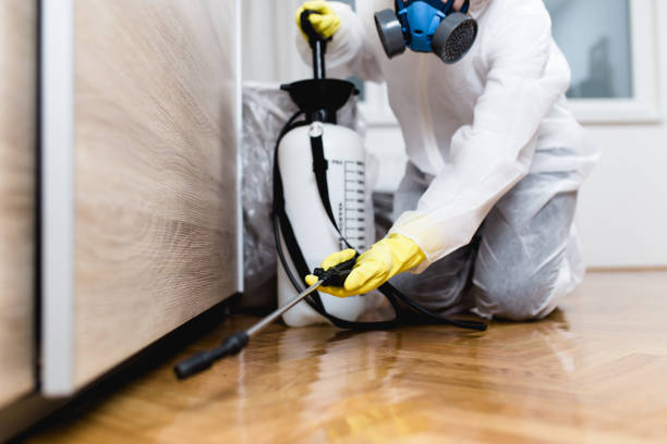 Best Insect Control  in Bolivar Peninsula, TX