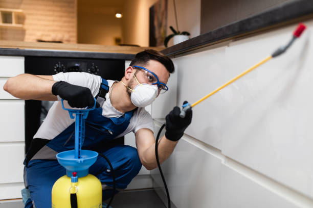 Best Emergency Pest Control  in Bolivar Peninsula, TX